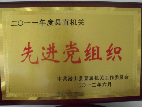 盐业公司招聘_大咖论道 世遗 的东风来了,武安镇如何重振古都雄风(3)